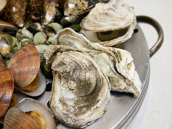 二月牌沙茶爐：二月牌沙茶爐臺南創始店-台灣近年掀起海鮮蒸籠爭霸戰  靜香首推台南海鮮塔  靠海食材最新鮮  搭配店家手作火鍋料大滿足