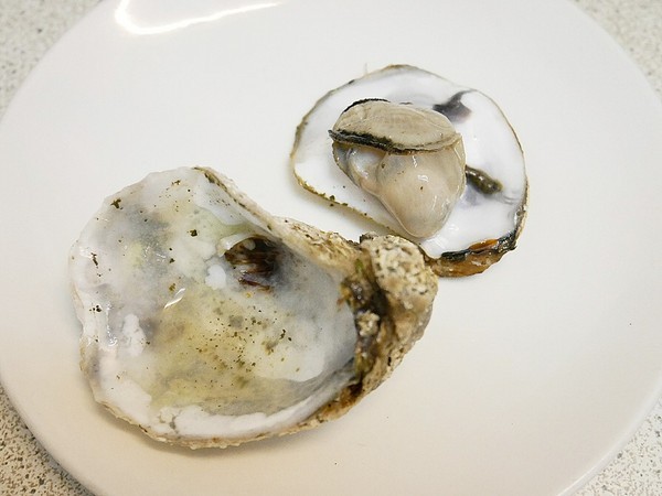 二月牌沙茶爐：二月牌沙茶爐臺南創始店-台灣近年掀起海鮮蒸籠爭霸戰  靜香首推台南海鮮塔  靠海食材最新鮮  搭配店家手作火鍋料大滿足