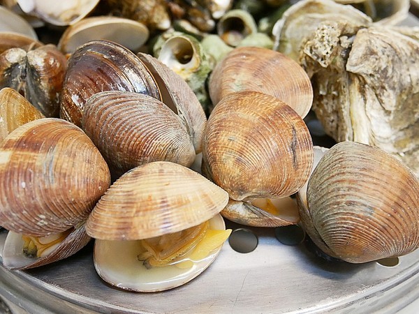 二月牌沙茶爐：二月牌沙茶爐臺南創始店-台灣近年掀起海鮮蒸籠爭霸戰  靜香首推台南海鮮塔  靠海食材最新鮮  搭配店家手作火鍋料大滿足