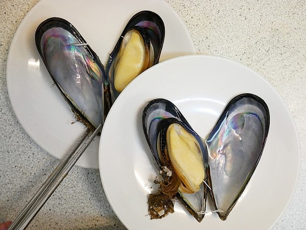 二月牌沙茶爐：二月牌沙茶爐臺南創始店-台灣近年掀起海鮮蒸籠爭霸戰  靜香首推台南海鮮塔  靠海食材最新鮮  搭配店家手作火鍋料大滿足