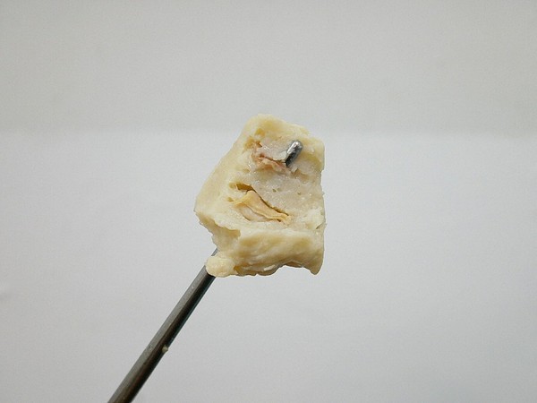 二月牌沙茶爐：二月牌沙茶爐臺南創始店-台灣近年掀起海鮮蒸籠爭霸戰  靜香首推台南海鮮塔  靠海食材最新鮮  搭配店家手作火鍋料大滿足