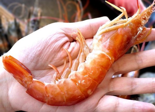 胖肚肚燒肉吃到飽:【食記】胖肚肚燒肉吃到飽!慶生聚餐的好地方!近捷運南京三民站 / 京華城旁