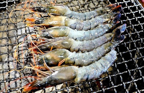 胖肚肚燒肉吃到飽:【食記】胖肚肚燒肉吃到飽!慶生聚餐的好地方!近捷運南京三民站 / 京華城旁