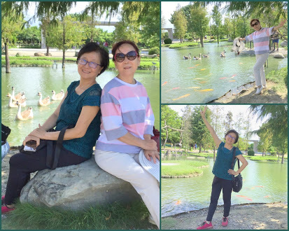 雲林虎尾景點-沉香生態園區-有緣姊妹淘池畔戲鵝趣
