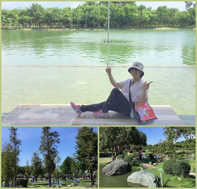 雲林虎尾景點-沉香生態園區-有緣姊妹淘池畔戲鵝趣