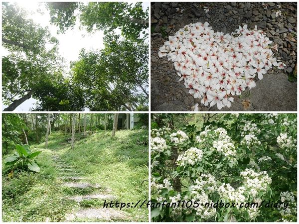 台中住宿【台中商旅八仙山莊】#谷關民宿 #渡假小木屋 #八仙國家森林遊樂區 #芬多精 #森林慢活 (3).jpg