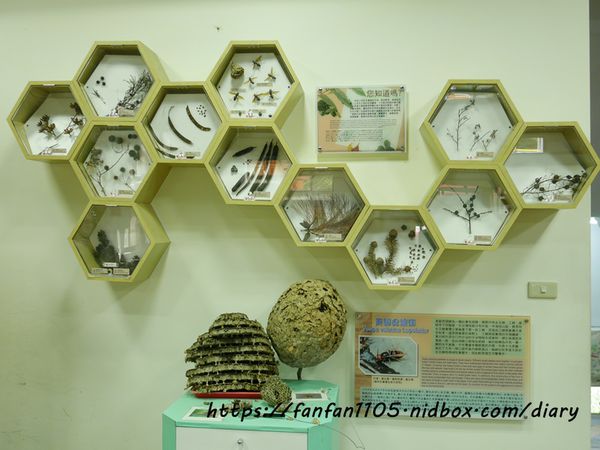 台中住宿【台中商旅八仙山莊】#谷關民宿 #渡假小木屋 #八仙國家森林遊樂區 #芬多精 #森林慢活 (9).JPG