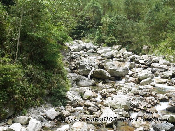 台中住宿【台中商旅八仙山莊】#谷關民宿 #渡假小木屋 #八仙國家森林遊樂區 #芬多精 #森林慢活 (59).JPG