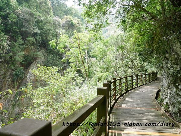 台中住宿【台中商旅八仙山莊】#谷關民宿 #渡假小木屋 #八仙國家森林遊樂區 #芬多精 #森林慢活 (60).JPG