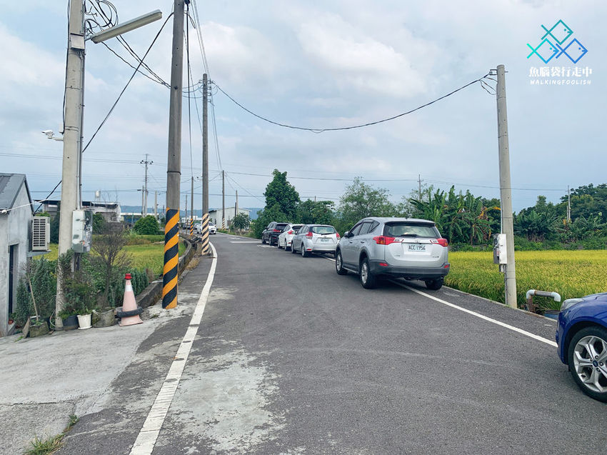 魚腦袋行走中_彰化景點_小田生活 (24).jpg