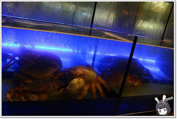 蒙娜麗莎鮮鍋物總匯：[食記]►高雄鼓山區◄令人讚嘆的歐式風格建築、各式活體現流海鮮盡在蒙娜麗莎. 佳餚品嚐館 - 海鮮鍋物總匯