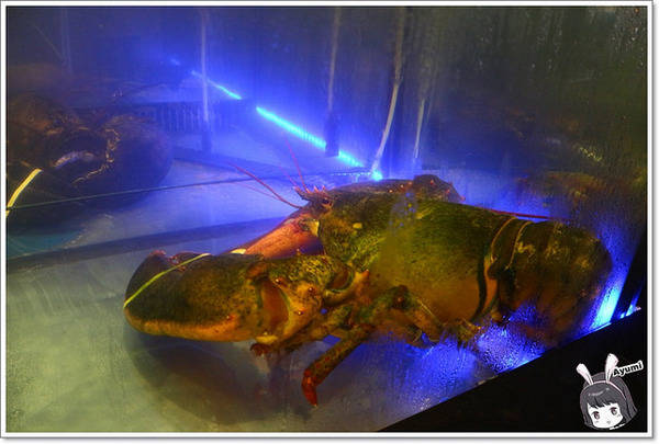 蒙娜麗莎鮮鍋物總匯：[食記]►高雄鼓山區◄令人讚嘆的歐式風格建築、各式活體現流海鮮盡在蒙娜麗莎. 佳餚品嚐館 - 海鮮鍋物總匯