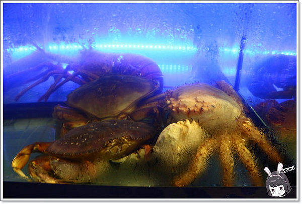 蒙娜麗莎鮮鍋物總匯：[食記]►高雄鼓山區◄令人讚嘆的歐式風格建築、各式活體現流海鮮盡在蒙娜麗莎. 佳餚品嚐館 - 海鮮鍋物總匯