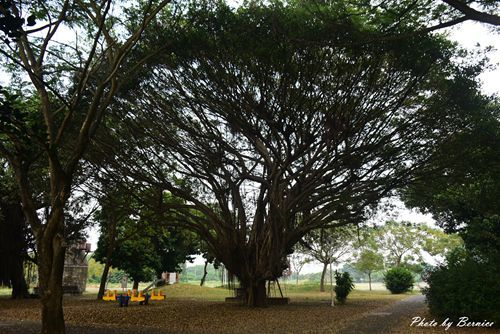 1102 3-寶隆紙廠02.jpg