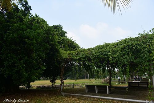 1102 3-寶隆紙廠05.jpg