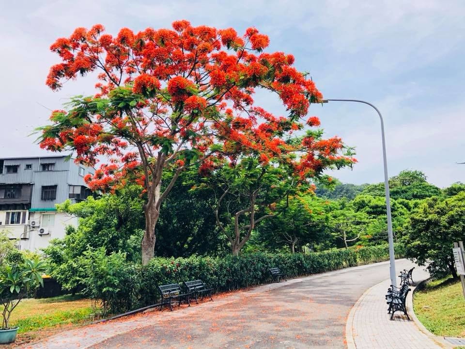 33577285_1061633147317074_6209434494152212480_n