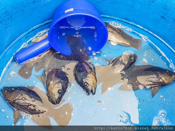 LRM_EXPORT_20180626_181936.jpg LRM_EXPORT_20180626_181936.jpg