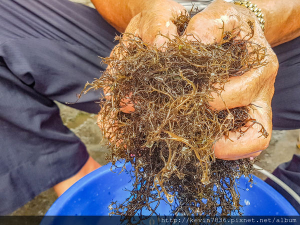 LRM_EXPORT_20180626_181601.jpg LRM_EXPORT_20180626_181601.jpg