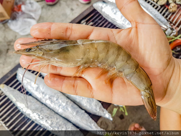 LRM_EXPORT_20180626_181044.jpg LRM_EXPORT_20180626_181044.jpg