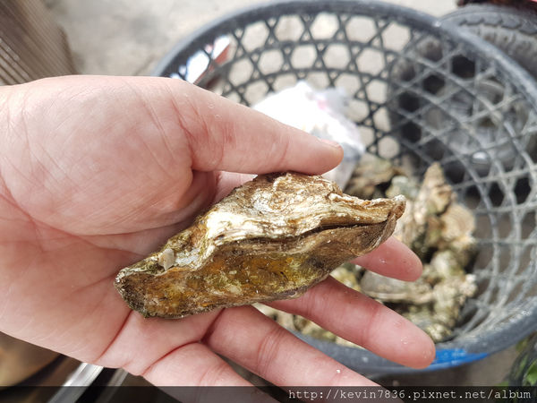 LRM_EXPORT_20180626_181500.jpg LRM_EXPORT_20180626_181500.jpg