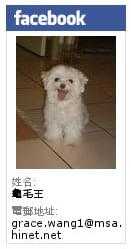 阿嬤的珍藏:【宅配】『阿嬤的珍藏』--Mini Tart芒果塔+生巧克力塔--舌尖上的小幸福!