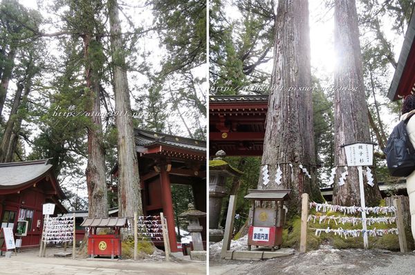 二社一寺 (43).jpg