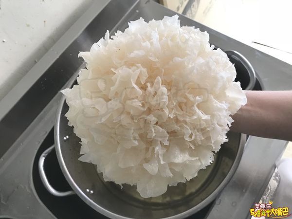 台中團購宅配美食白木耳》覓覓食務所-桃膠雪蓮子(皂角米)白木耳露!遵循古法製作流傳自大陸的消暑養顏Q彈健康飲~台中大墩路必吃美食小吃餐廳推薦。