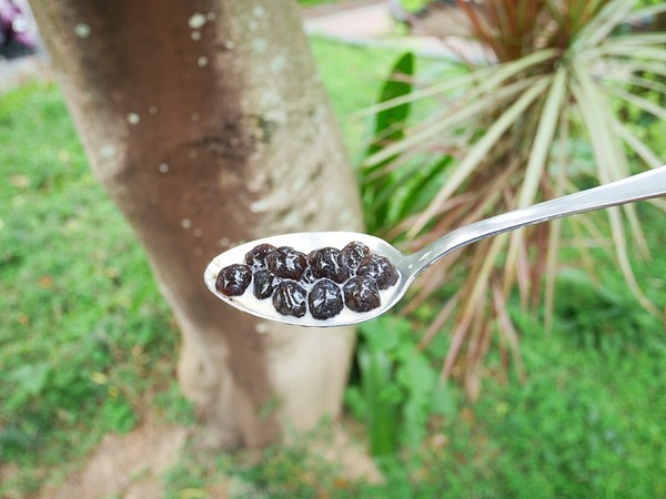 米塔黑糖飲品專賣(世貿店):米塔黑糖飲品(世貿店)-米塔集團旗下新創飲品 主打近期最夯的黑糖飲品 茶品都不錯喝 很適合炎熱的午後來一杯