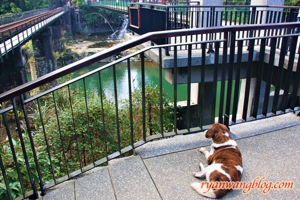 平溪一日遊-十分老街