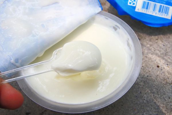 【限量美食！】濃醇香台農鮮奶酪-每日現做，沒有預訂吃不到的限量美食