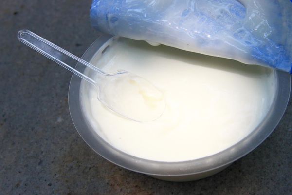 【限量美食！】濃醇香台農鮮奶酪-每日現做，沒有預訂吃不到的限量美食