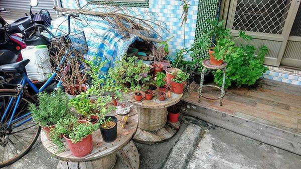 36794343_1945533205478359_2522092220270510080_n