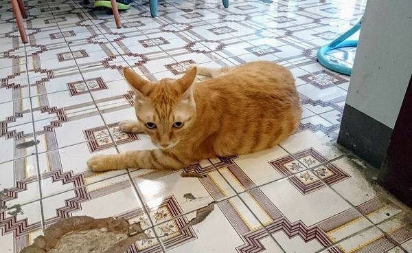 36677044_1945533105478369_911830125400555520_n