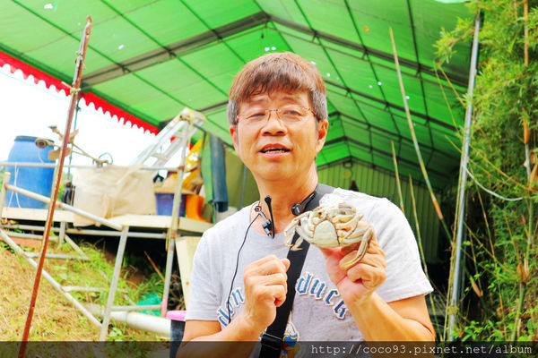 廖煌飛龍騰大閘蟹生態養殖場 (2).jpg
