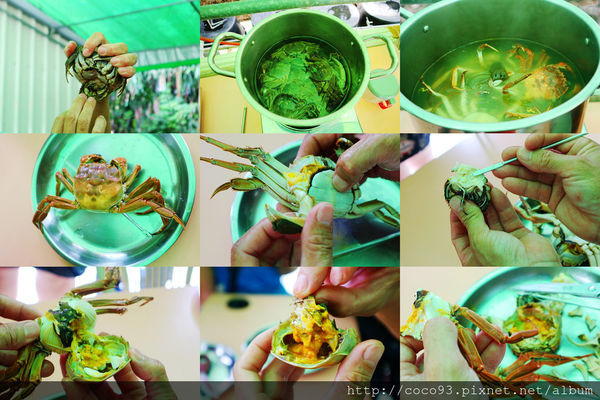 廖煌飛龍騰大閘蟹生態養殖場 (6).jpg