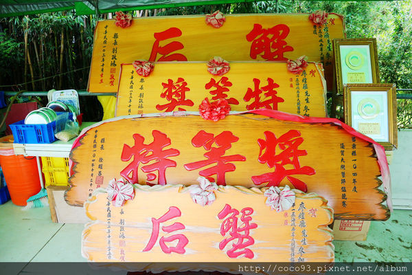 廖煌飛龍騰大閘蟹生態養殖場 (4).jpg