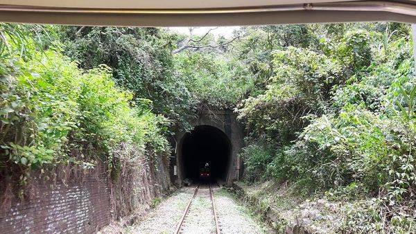 36731576_1854295011258377_8033452240851173376_n