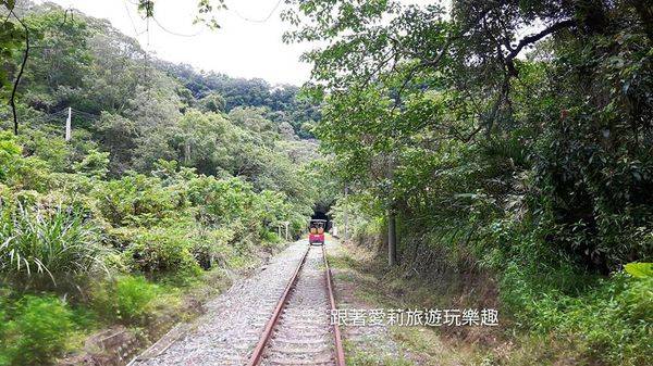 36677018_1854310157923529_6127508418182774784_n