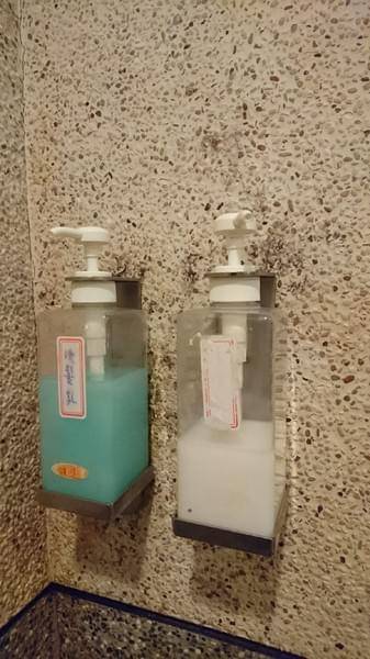 合歡山國家森林遊樂區-松雪樓:南投~合歡山國家森林遊樂區~松雪樓~白茫茫的雪景美不勝收~DIY動手作雪人~真是太有趣了~