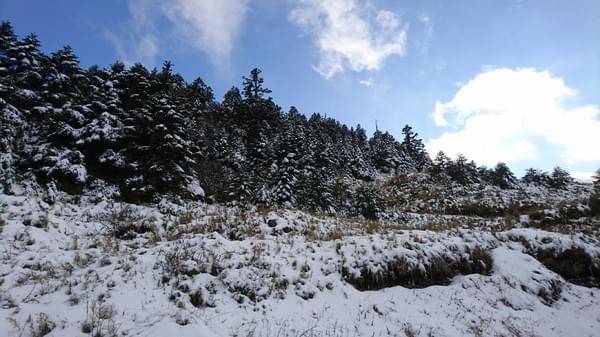 合歡山國家森林遊樂區-松雪樓:南投~合歡山國家森林遊樂區~松雪樓~白茫茫的雪景美不勝收~DIY動手作雪人~真是太有趣了~