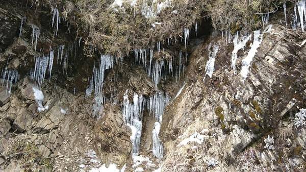 合歡山國家森林遊樂區-松雪樓:南投~合歡山國家森林遊樂區~松雪樓~白茫茫的雪景美不勝收~DIY動手作雪人~真是太有趣了~
