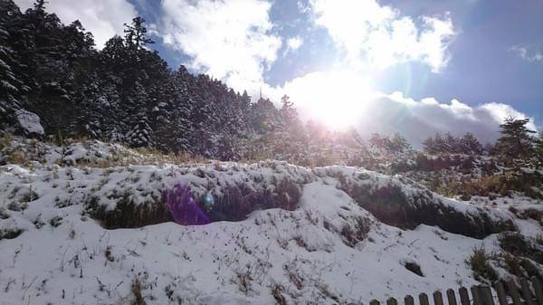 合歡山國家森林遊樂區-松雪樓:南投~合歡山國家森林遊樂區~松雪樓~白茫茫的雪景美不勝收~DIY動手作雪人~真是太有趣了~