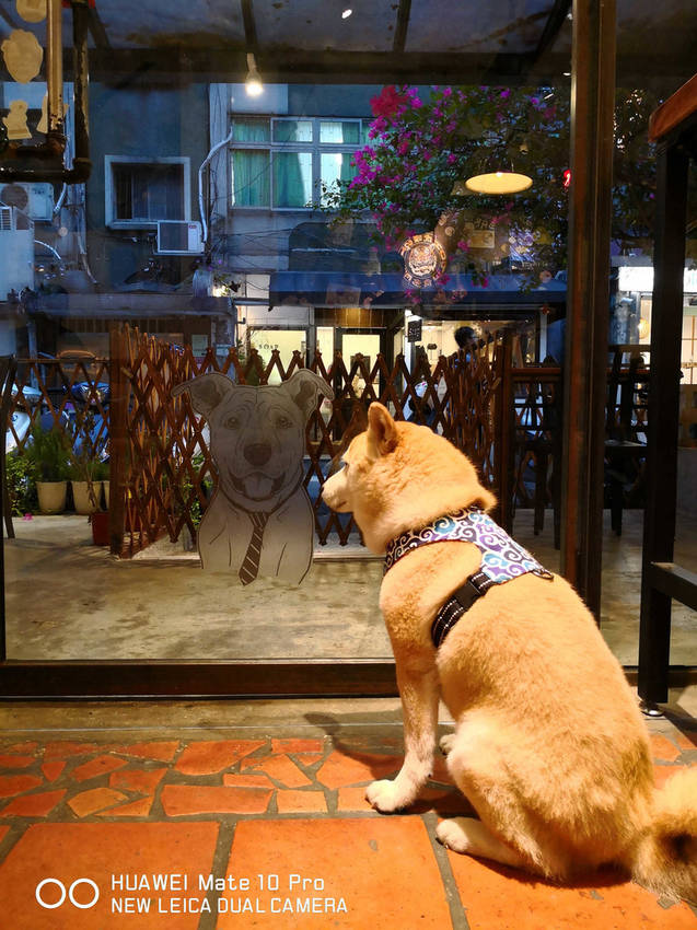 【食。台北】虎噗食多 • HOPE STORE〜師大路寵物友善餐廳。巷弄裡老房子美式餐廳,現做美味平價享受!