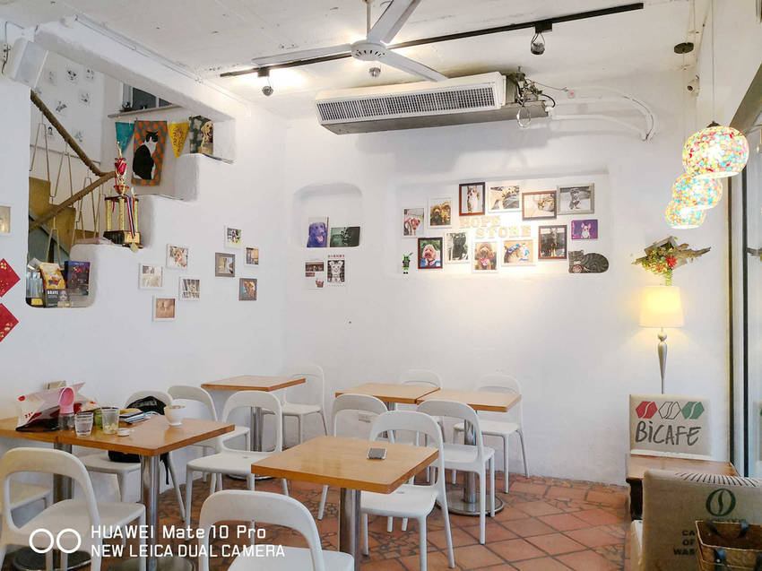 【食。台北】虎噗食多 • HOPE STORE〜師大路寵物友善餐廳。巷弄裡老房子美式餐廳,現做美味平價享受!