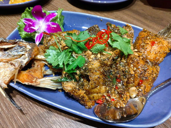 未命名 (32-46).jpg