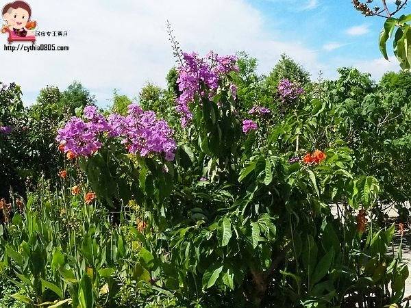 桃園中壢景點-台灣地景花園-免費入園超大場地，戲水池遊樂設施隨你玩，暑假放生小孩新去處 @民宿女王芽月-美食.旅遊.全台趴趴走