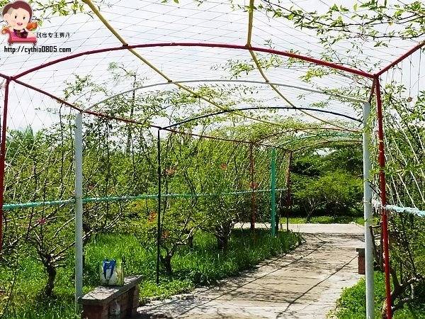 桃園中壢景點-台灣地景花園-免費入園超大場地，戲水池遊樂設施隨你玩，暑假放生小孩新去處 @民宿女王芽月-美食.旅遊.全台趴趴走