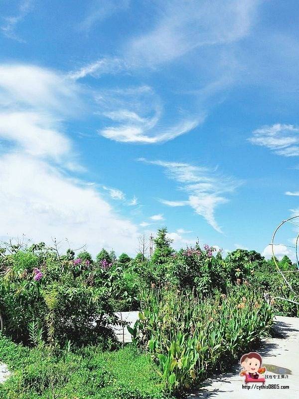 桃園中壢景點-台灣地景花園-免費入園超大場地，戲水池遊樂設施隨你玩，暑假放生小孩新去處 @民宿女王芽月-美食.旅遊.全台趴趴走