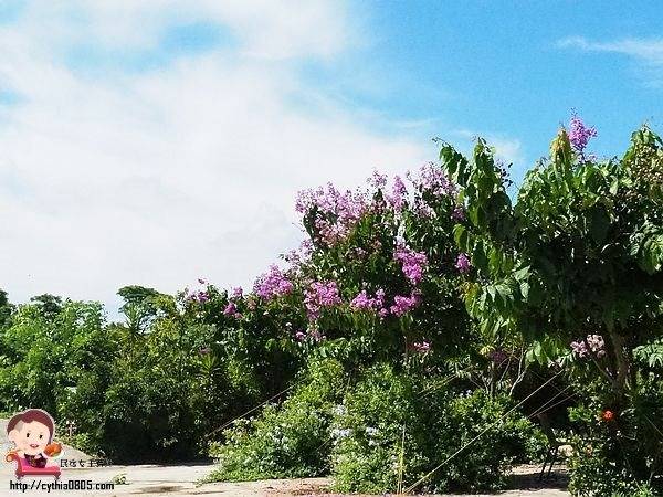 桃園中壢景點-台灣地景花園-免費入園超大場地，戲水池遊樂設施隨你玩，暑假放生小孩新去處 @民宿女王芽月-美食.旅遊.全台趴趴走