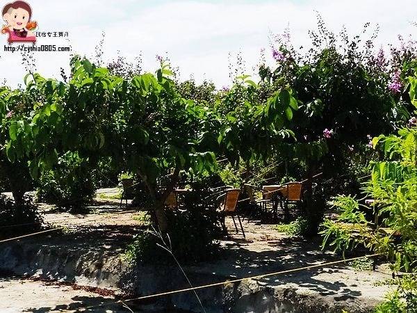 桃園中壢景點-台灣地景花園-免費入園超大場地，戲水池遊樂設施隨你玩，暑假放生小孩新去處 @民宿女王芽月-美食.旅遊.全台趴趴走